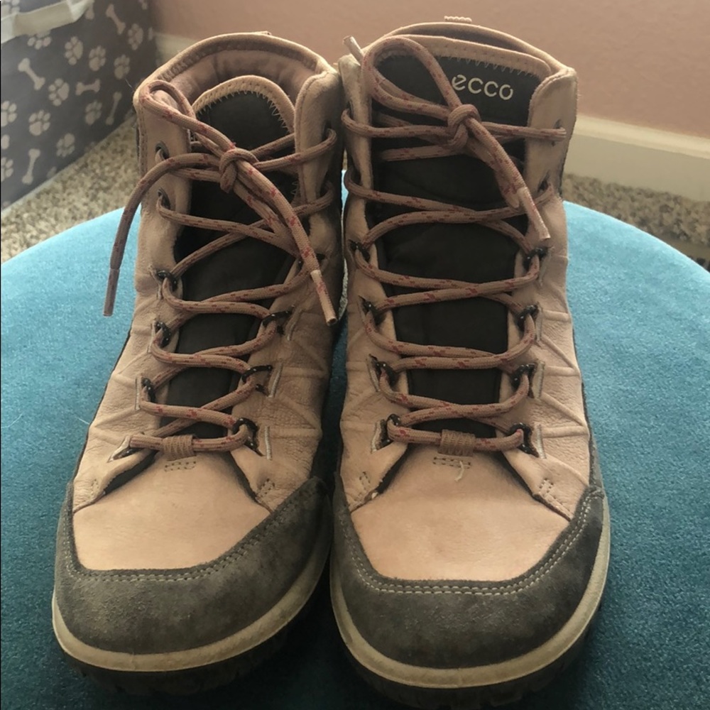 Ecco Hiking Boots